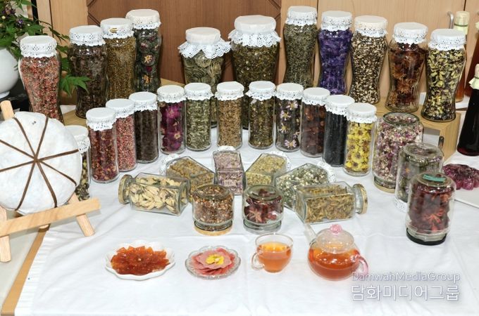 산촌활력 특화사업 숲푸드 포럼