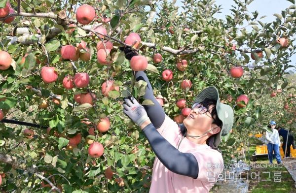 청송군, 가을철 농촌일손돕기 추진