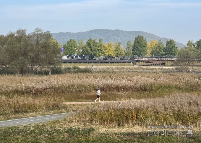 ‘가을의 도시’ 아산서 은빛 억새·황금 단풍 즐겨요
