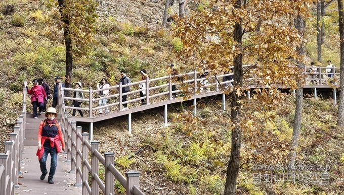 보은군, 단풍길 따라 힐링걷기‘속리산 둘레길 걷기 축제’ 성황리 마무리