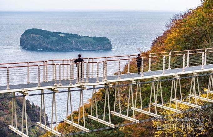 울릉 울렁다리 준공-새로운 관광 랜드마크로 도약