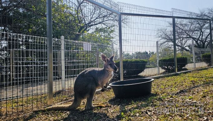 진주시 진양호동물원