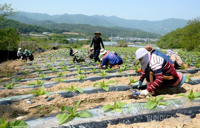 화천군 외국인 계절 근로자 결혼이민자 본국 가족 모집
