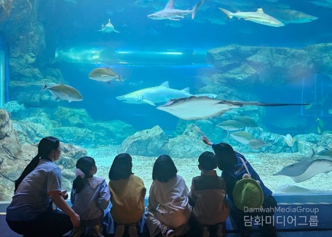 “하루에 바다를 다 체험할지니”수원 E:음 거점형 늘봄센터, 아쿠아플라넷 광교에서 해양생태 탐구 체험 운영