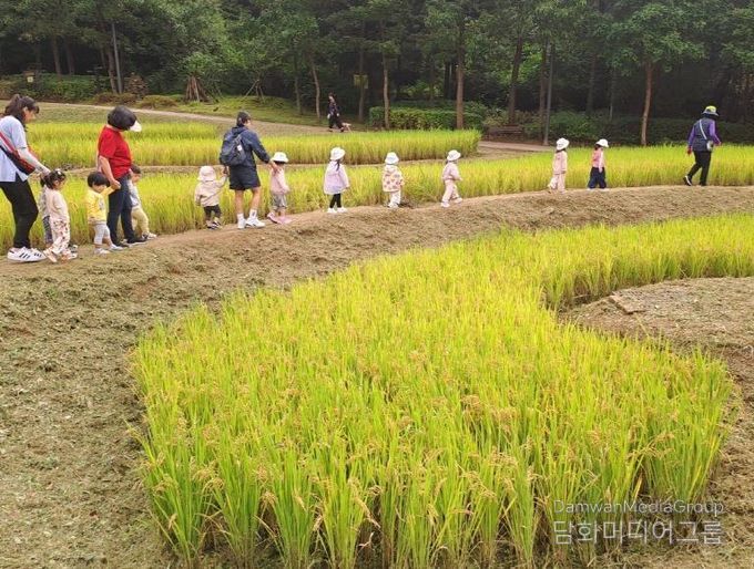 다랭이논 현황사진