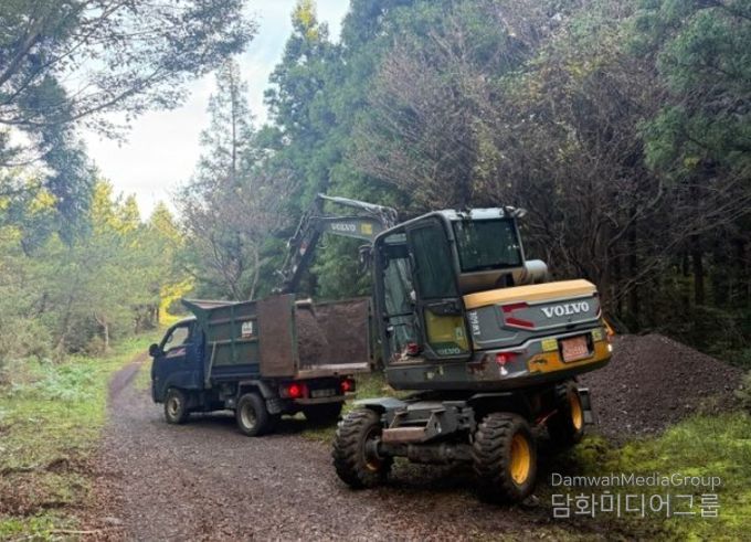국유림 산림사업