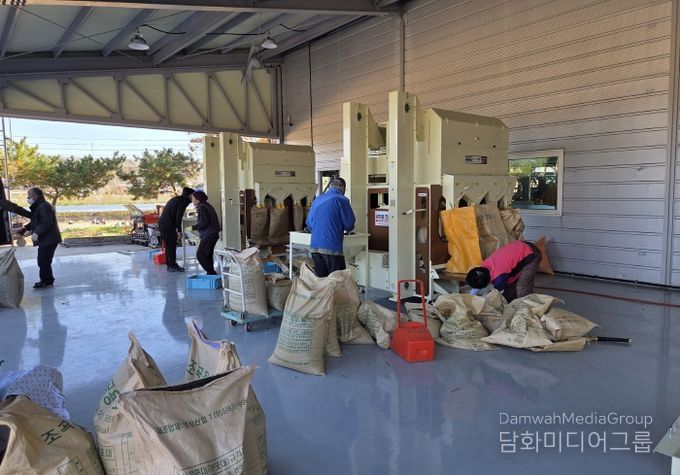 영천시 농기계임대사업소 서부본소에서 콩 정선기를 이용하고 있는 농업인들