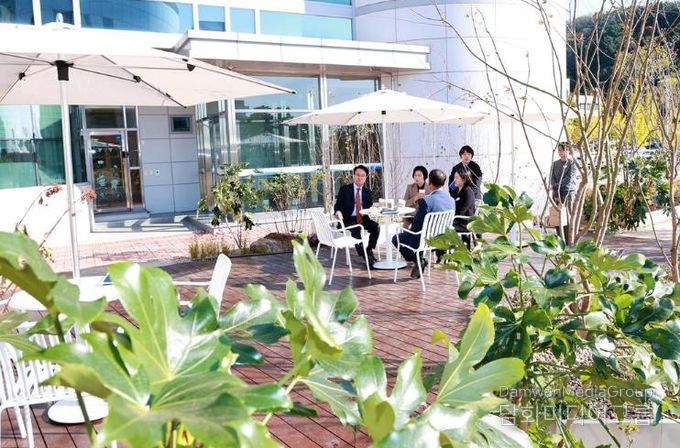 사천시, 시청사 실외정원 조성사업 완료