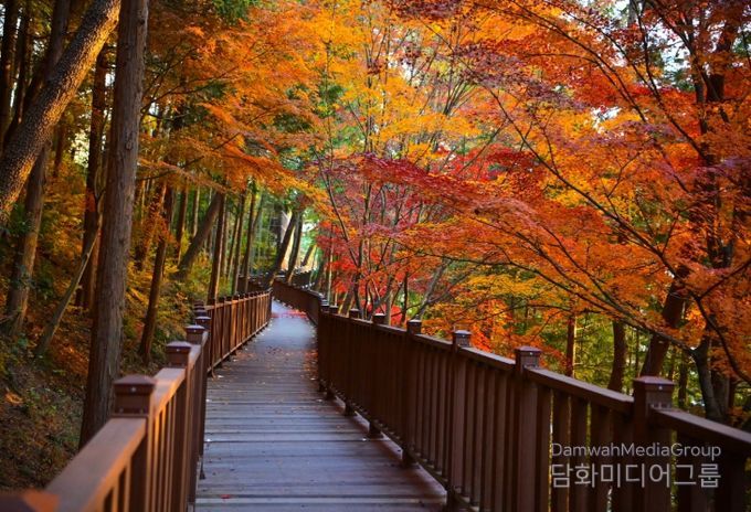 진주시, ‘무장애’ 진양호 노을길 준공