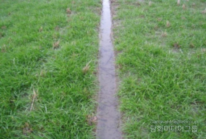 배수로가 정비된 재배지