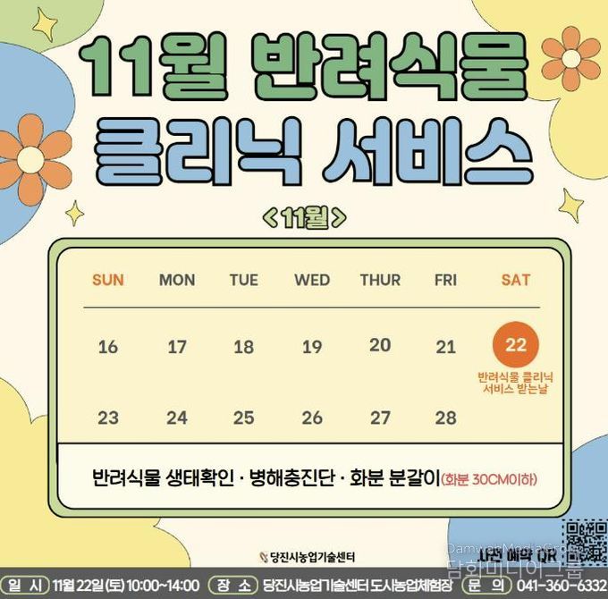 11월 반려식물 클리닉 카드뉴스