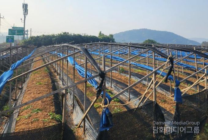 영광군, 한파·대설 대비 농업시설물 집중 점검