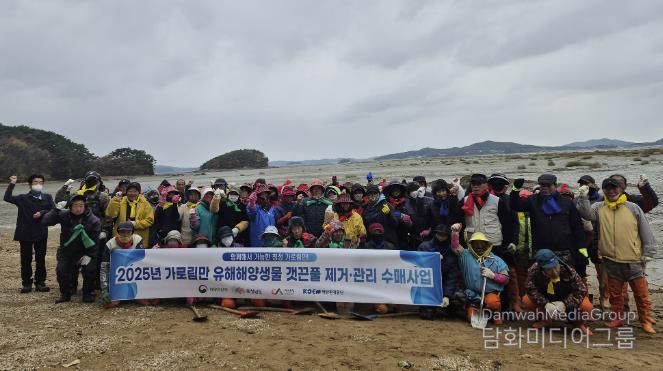 지난 18일 지곡면 도성리, 대요리 일원 갯벌에서 진행된 갯끈풀 제거 작업