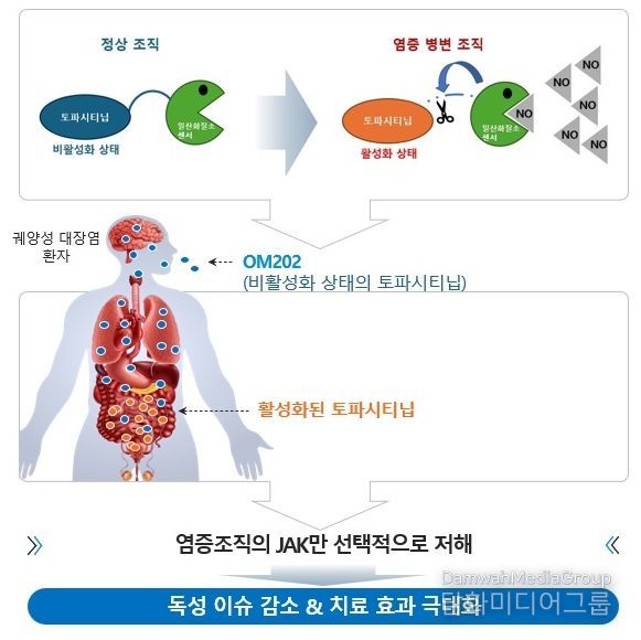 K-MEDI hub, 궤양성 대장염 치료제 원스톱 개발 지원