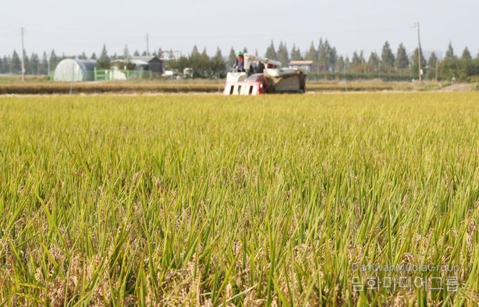 청주시, 청원생명쌀 계약재배 신청 접수… 12월 5일까지