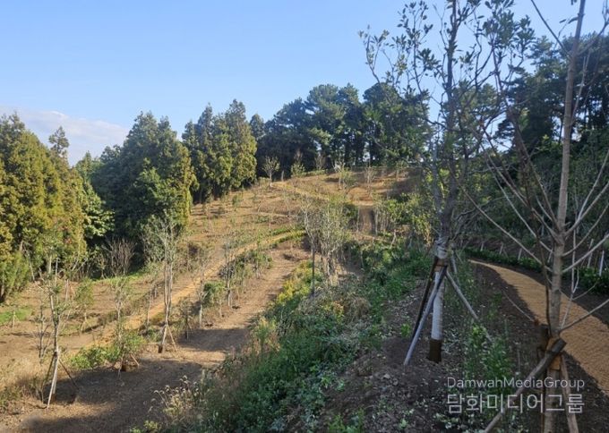 삼매봉공원 도시바람길 디딤확산숲