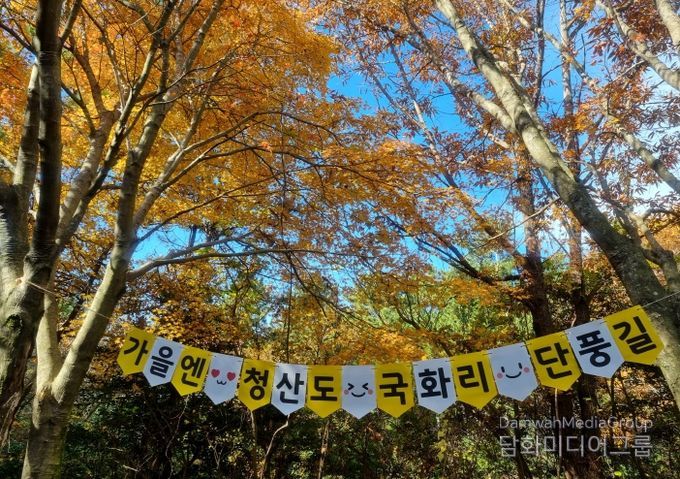 완도 청산도 단풍길 전경