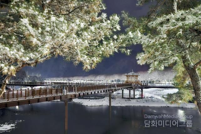 첫눈 내려 드러난 괴산 에코브릿지의 겨울 밤빛