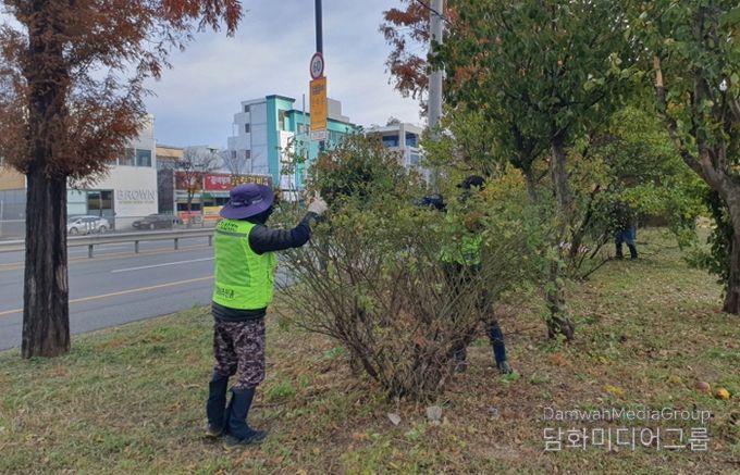 무궁화 전정작업 현장