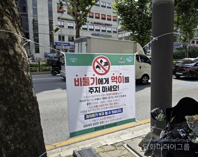 신림역 일대 남부순환로에 게첨된 비둘기 먹이주기 금지 안내문