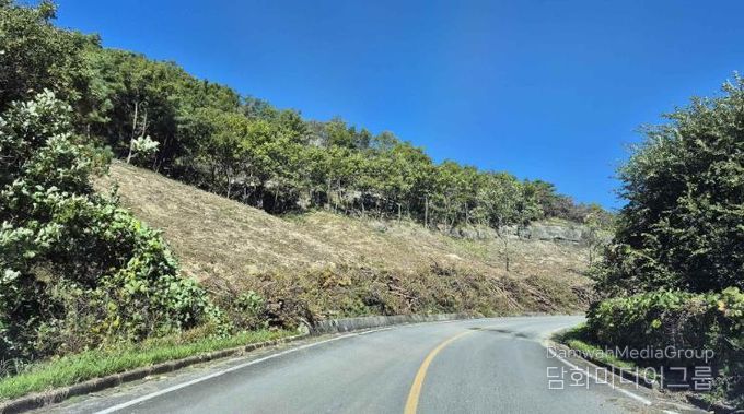 의성군, 1차 산불피해지 위험목 제거사업 추진 완료