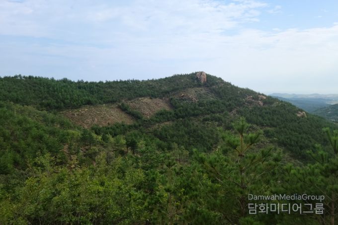 내화수림 조성 후