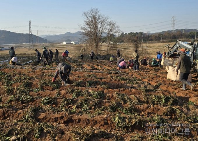 홍농청보리영농조합