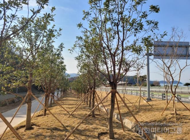 남해군, '도시숲 및 녹지공간 조성' 우수기관 선정 = 기후대응 도시숲