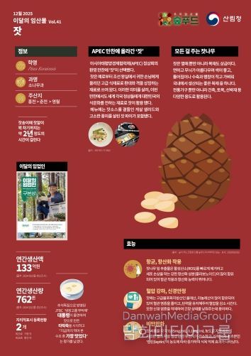 2025 이달의 임산물-12월 `잣`