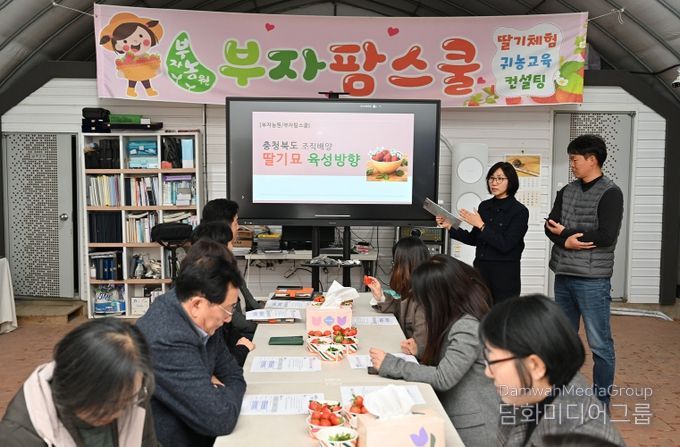 충북농기원, 딸기 무병묘 생산 체계 가동