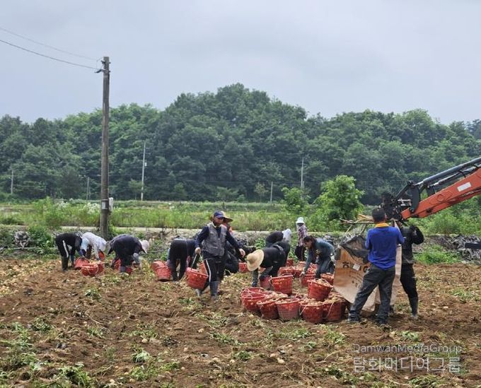 충주시, 2025년 외국인 계절근로자 사업 성료