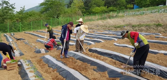 체류형농업창업지원센터 텃밭에서 교육생들이 실습하는 모습