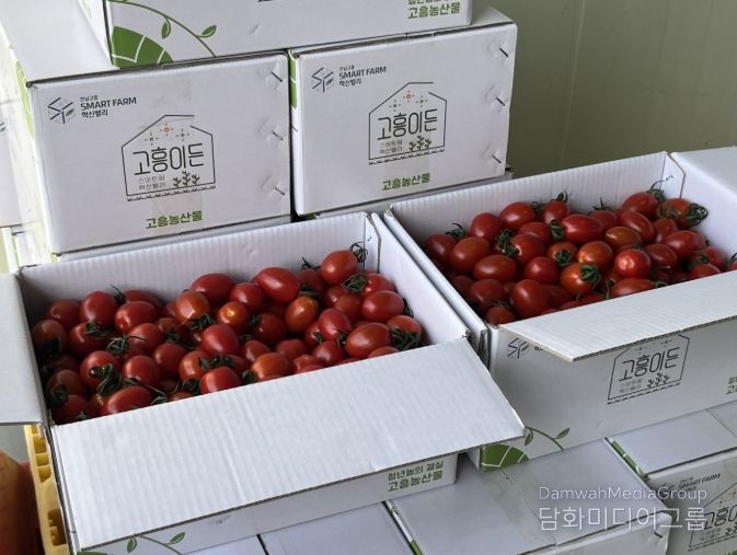 스마트팜 혁신밸리 농산물 공동브랜드 ‘고흥이든’ 개발