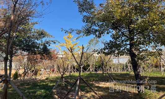 2025년 신일반산단 기후대응 도시숲 조성사진