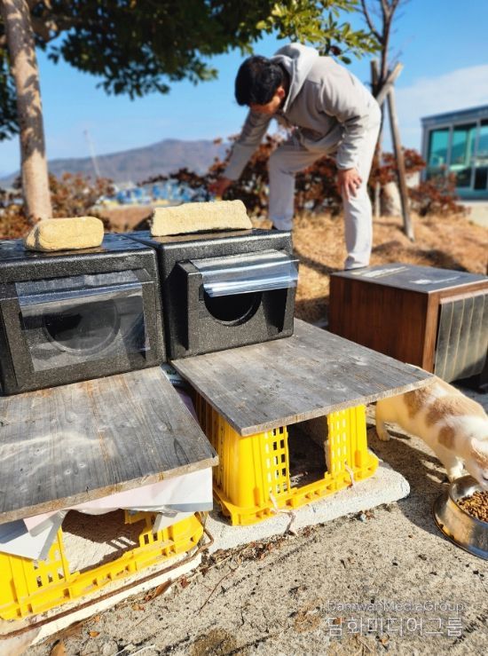통영 고양이섬 용호도,‘고양이 겨울집’설치