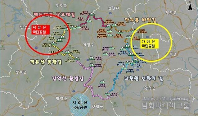 거창군, 산림으로 여는 미래, 관광‧기후‧경제 세 마리 토끼 잡는다