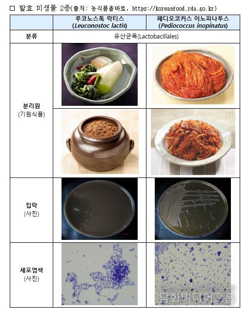 전통발효식품 미생물 2종 정보