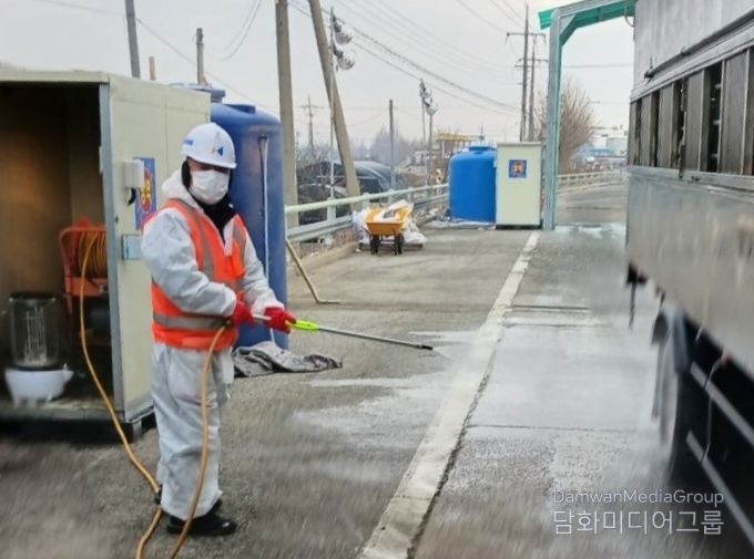 6만 3천 수 살처분 진행