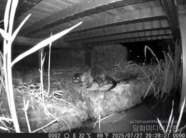 세종시설공단, ‘2025년 세종호수공원 정밀 생태분포조사’ 결과 발표