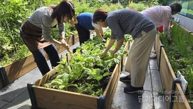 2025년 수원시민들이 수원시농업기술센터 치유농업 활성화 사업에 참여하고 있다.