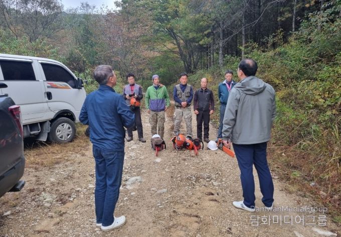 입목벌채지 벌목현장 안전점검 현장