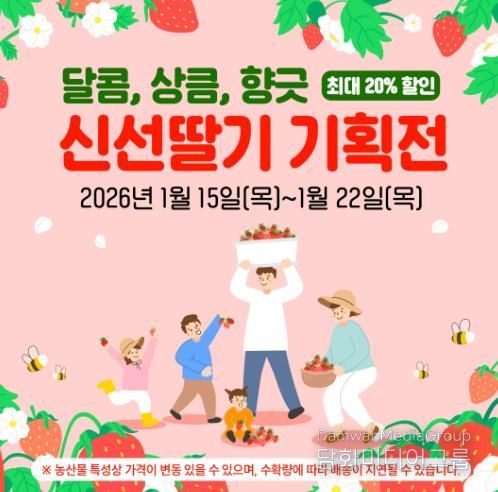 새해를 여는 달콤한 선택, 곡성몰 신선딸기 기획전 진행