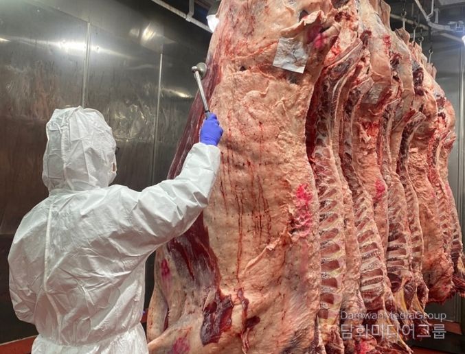 대전시 설 명절 대비 소․돼지 도축검사