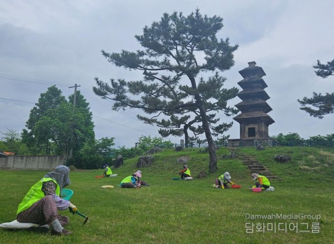 2026년도 노인일자리 사업 본격 시행