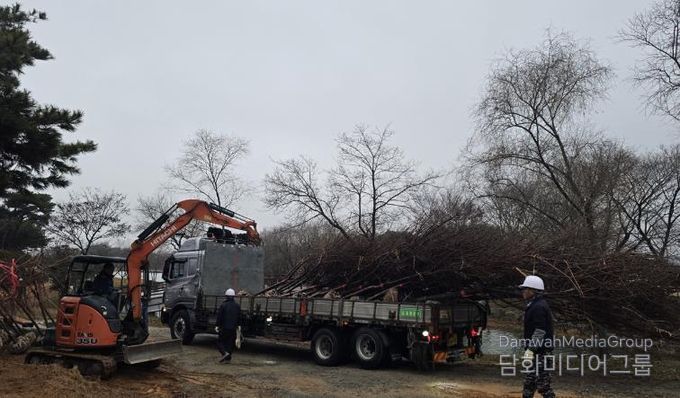 영암군 벚나무숲 조성_계천제
