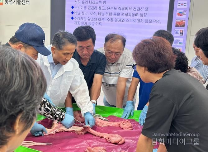 디지털-인공수정실습