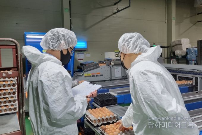 식용란 선별 포장업 점검
