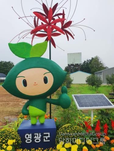 영광군, 2026년 상사화 모시 연구 고도화 추진