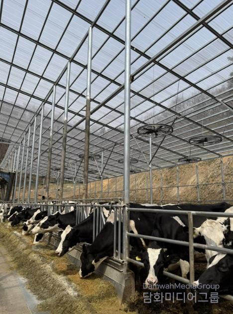 용인트례시가 '2026년 축산분야 생산지원사업' 희망 농가를 모집한다