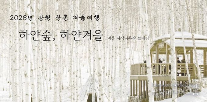 인제 자작나무숲에서 즐기는 겨울 힐링 여행